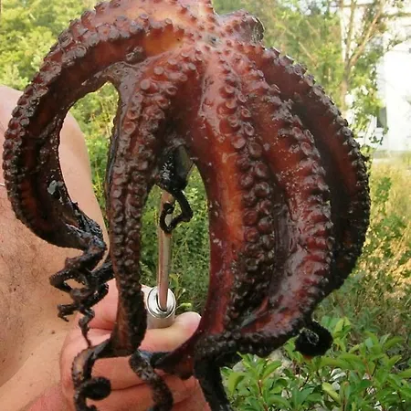 Semesterbostad Seaside Vacation 4tuna *