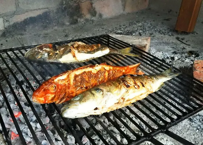Seaside Vacation 4tuna * Pinezići