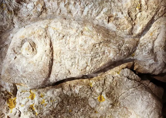 בית נופש Seaside Vacation 4tuna Pinezići