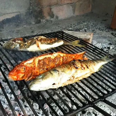 Seaside Vacation 4tuna * Pinezići