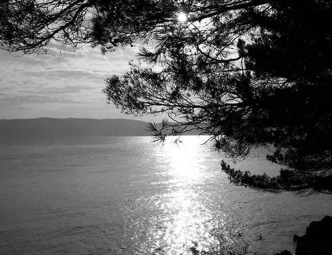 Tatil Evi Seaside Vacation 4tuna Pinezići