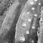 Seaside Vacation 4tuna Dom wakacyjny